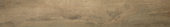 Western Juniper 8X47 |  Carpet Barn Carpet One Inc.