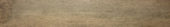 Western Juniper 8X47 |  Carpet Barn Carpet One Inc.