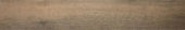 Western Juniper 8X47 |  Carpet Barn Carpet One Inc.