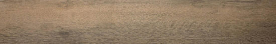 Western Juniper 8X47 |  Carpet Barn Carpet One Inc.
