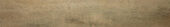Western Juniper 8X47 |  Carpet Barn Carpet One Inc.