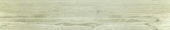Whitebark Pine 5.5X33F |  Carpet Barn Carpet One Inc.