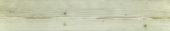 Whitebark Pine 5.5X33F |  Carpet Barn Carpet One Inc.