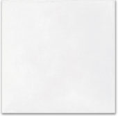 Whitehall Bianco 16x16 |  Carpet Barn Carpet One Inc.