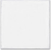 Whitehall Bianco 8x8F |  Carpet Barn Carpet One Inc.