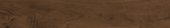 Wild Oak Bark |  Carpet Barn Carpet One Inc.
