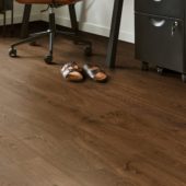 Wild Oak Bark |  Carpet Barn Carpet One Inc.