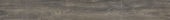 Willow 7.76"x60" |  Carpet Barn Carpet One Inc.